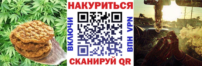 Canna-Cookies конопля  продажа наркотиков  Малгобек 