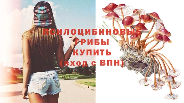 винт Армянск